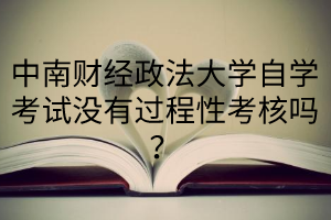 中南财经政法大学自学考试没有过程性考核吗？